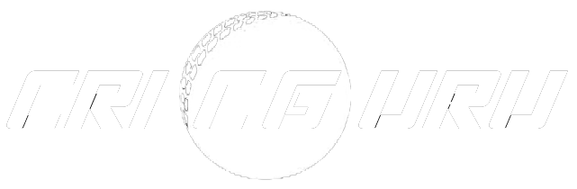 Cric Guru